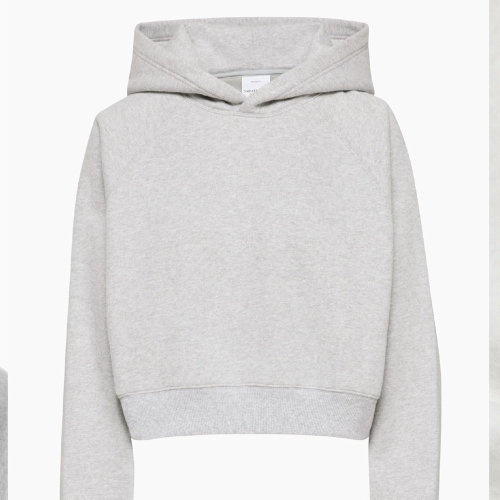Aritzia Cozy Fleece Mega Raglan Cropped Hoodie - Picture 5 of 9
